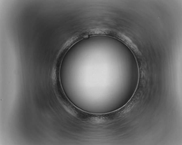 X0000116330250200912011138