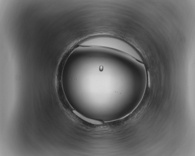 X0000116330252200912011138