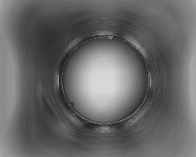 X0000116330253200912011138