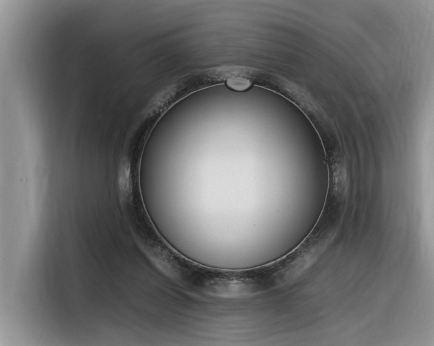 X0000116330254200912011138