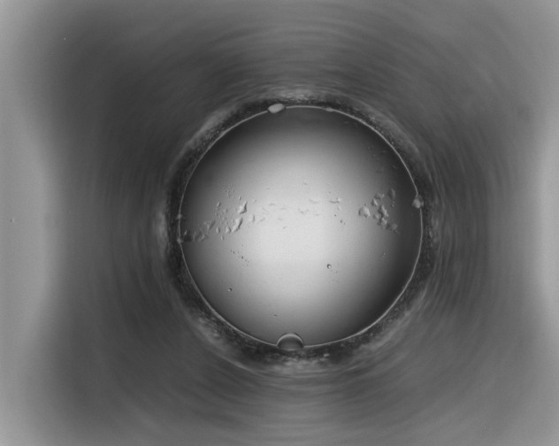X0000116330256200912011138