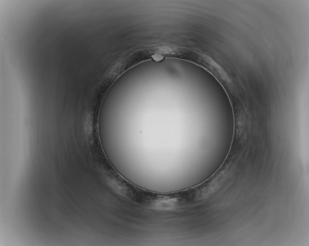 X0000116330257200912011138
