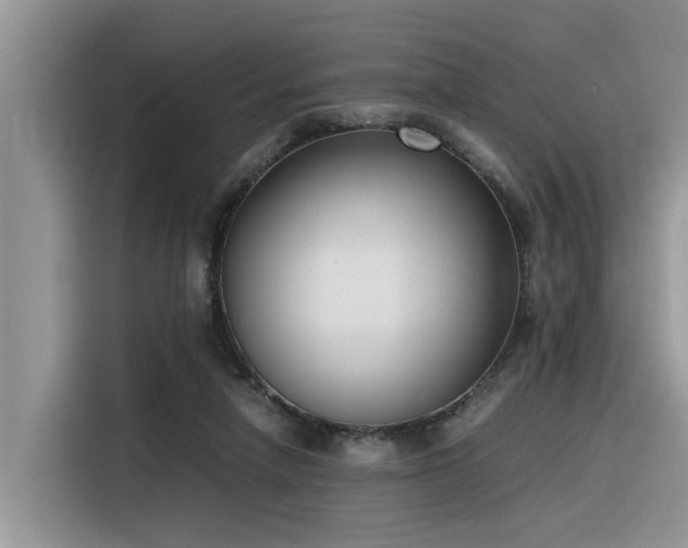 X0000116330258200912011138