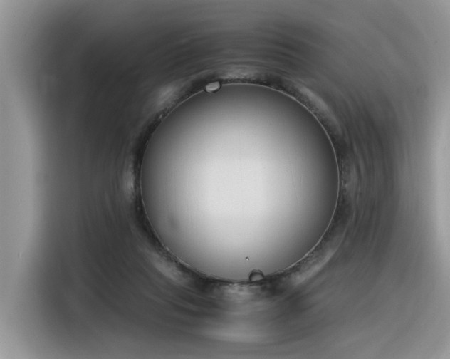 X0000116330261200912011138