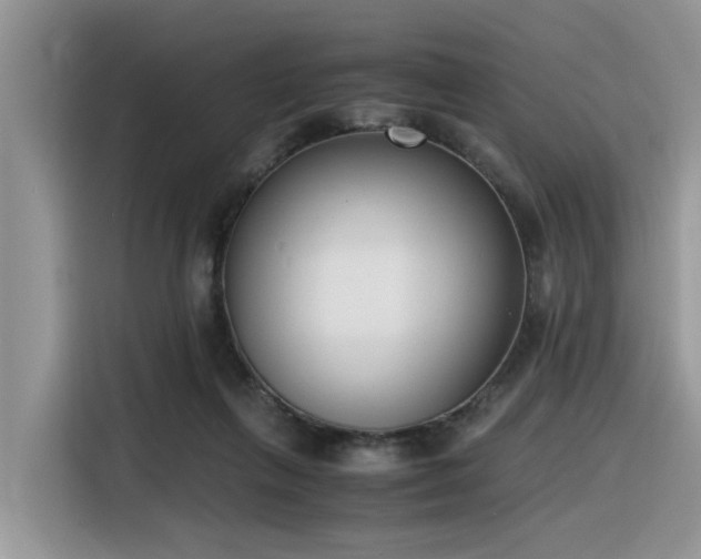 X0000116330263200912011138