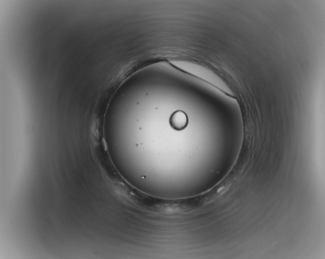 X0000116330264200912011138