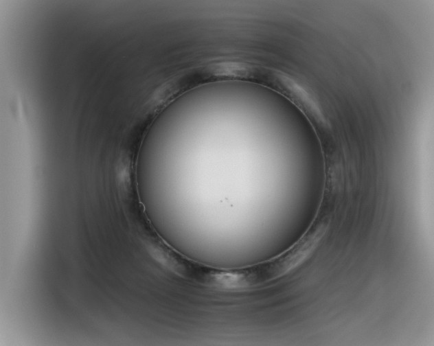 X0000116330265200912011138