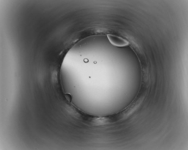 X0000116330269200912011138