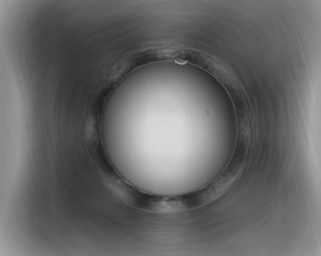 X0000116330270200912011138