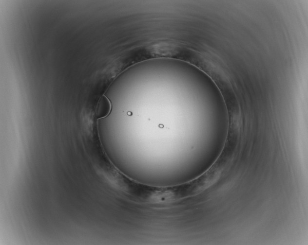 X0000116330271200912011138