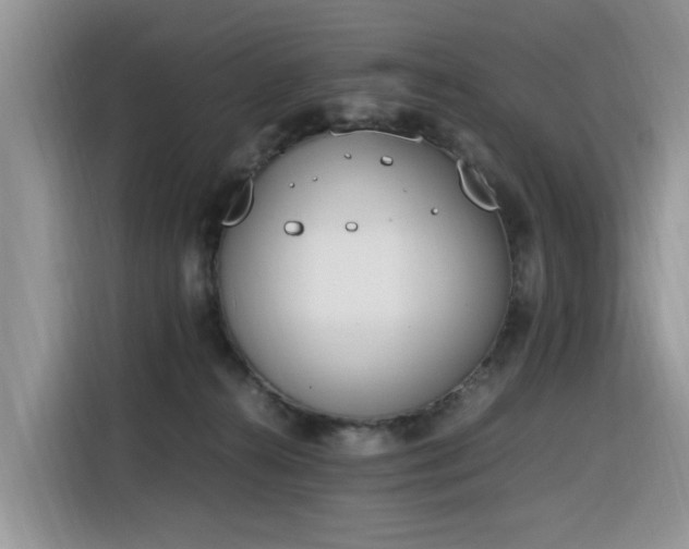 X0000116330272200912011138