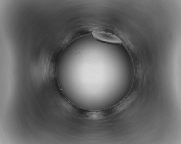 X0000116330273200912011138