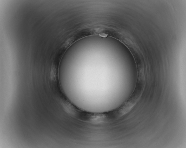 X0000116330274200912011138