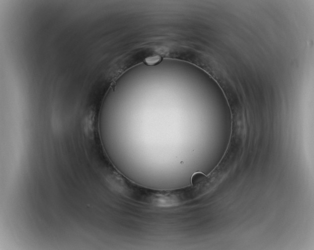 X0000116330275200912011138