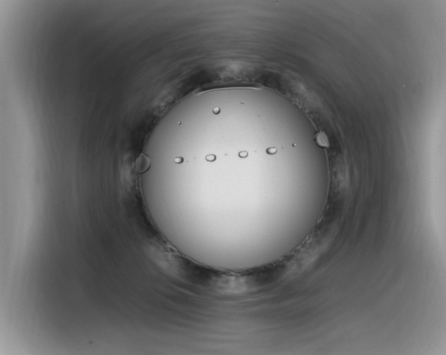 X0000116330276200912011138