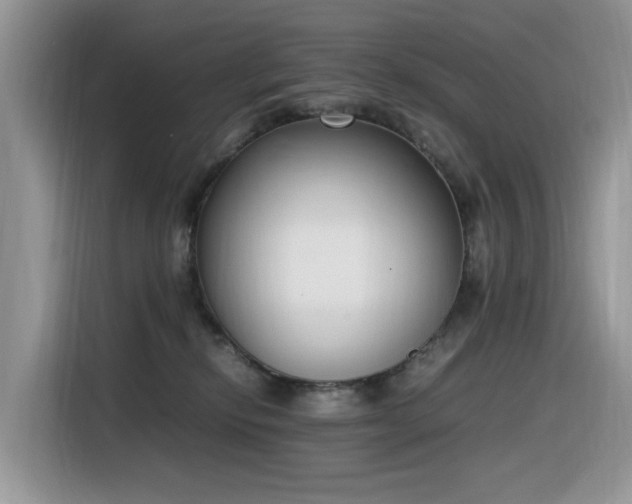 X0000116330278200912011138