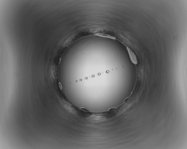 X0000116330280200912011138