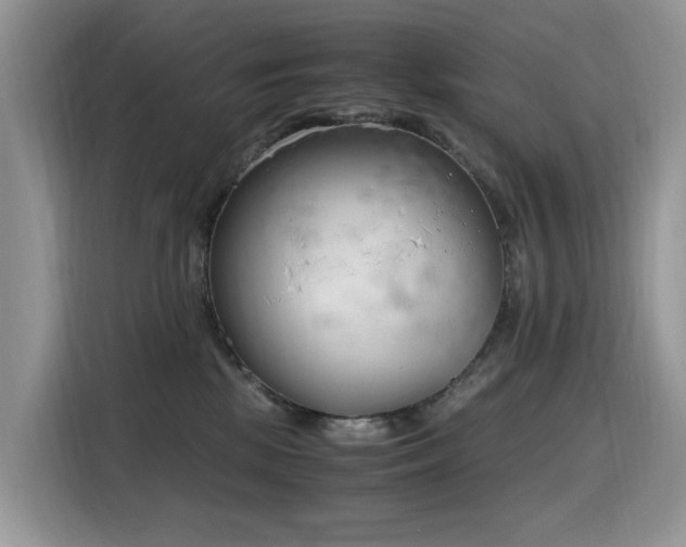 X0000116330281200912011138