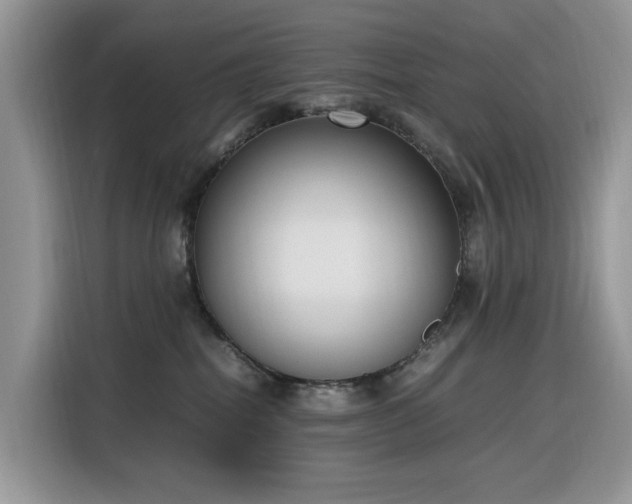 X0000116330282200912011138