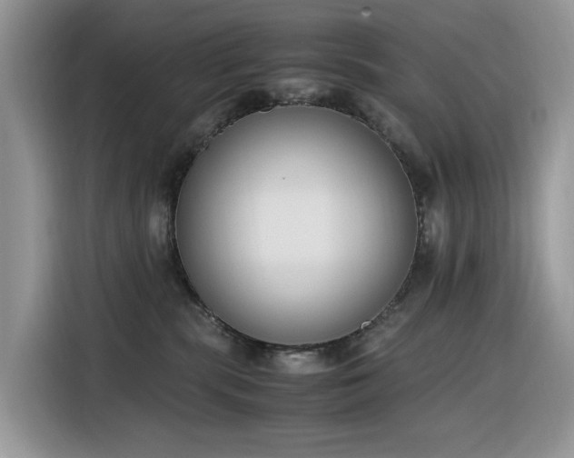 X0000116330283200912011138