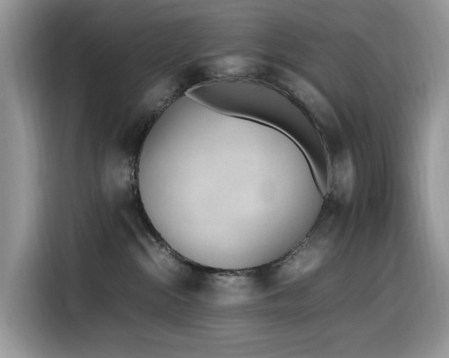 X0000116330284200912011138