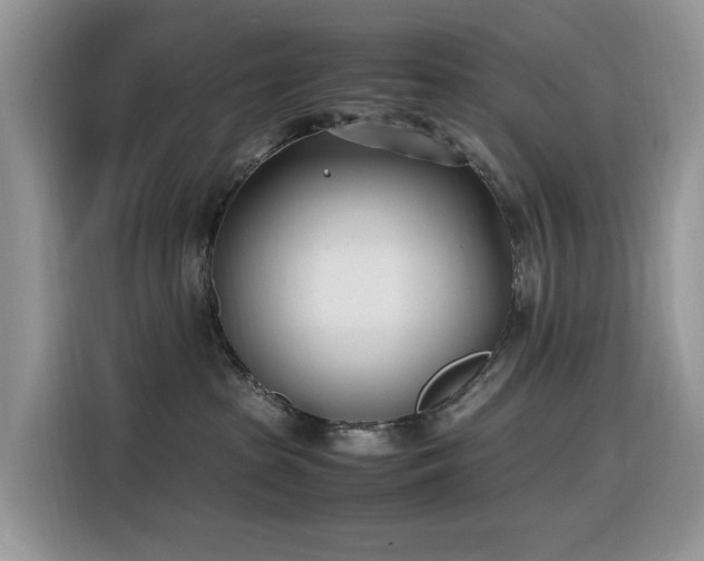 X0000116330285200912011138