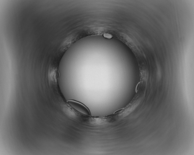 X0000116330286200912011138