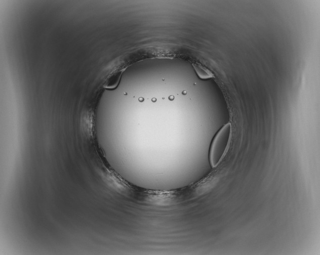 X0000116330288200912011139