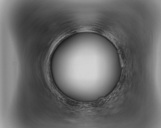 X0000116330289200912011138