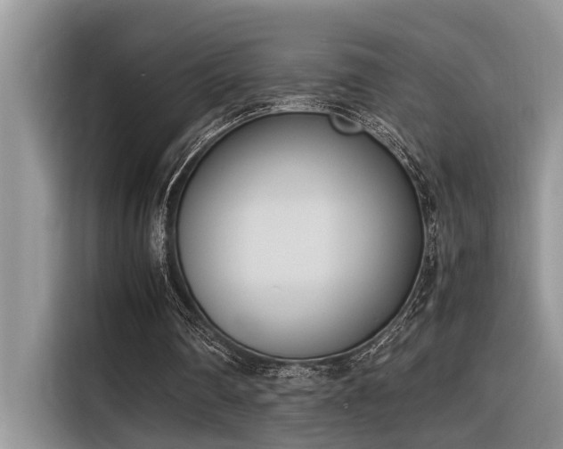 X0000116330290200912011138