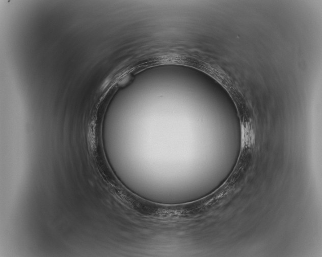 X0000116330291200912011138
