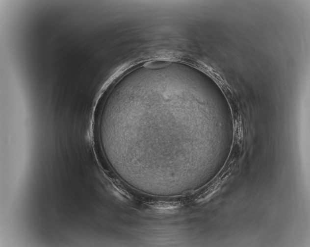 X0000116330292200912011138