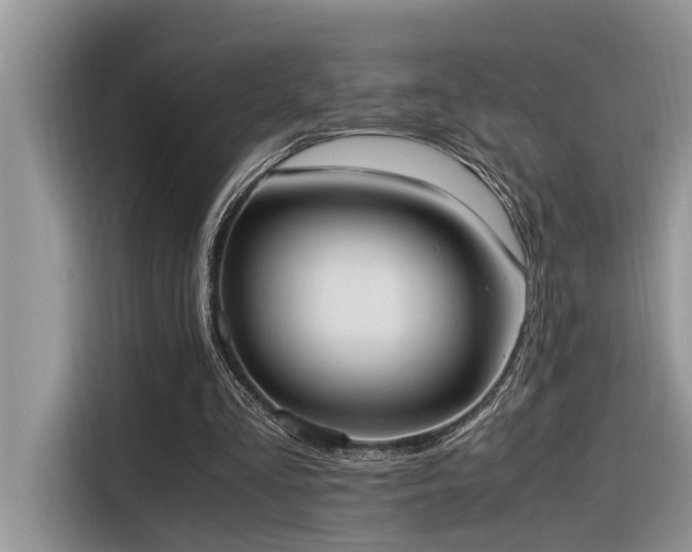 X0000116330293200912011138