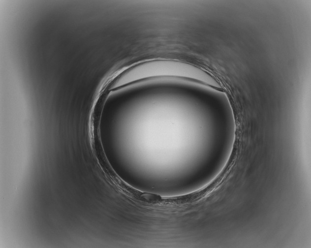 X0000116330294200912011138