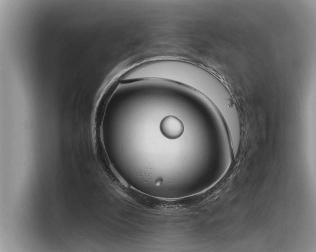 X0000116330296200912011138