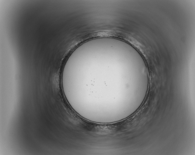 X0000116330297200912011138