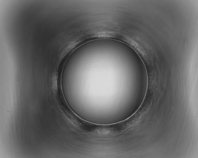 X0000116330299200912011138