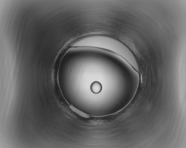 X0000116330300200912011138