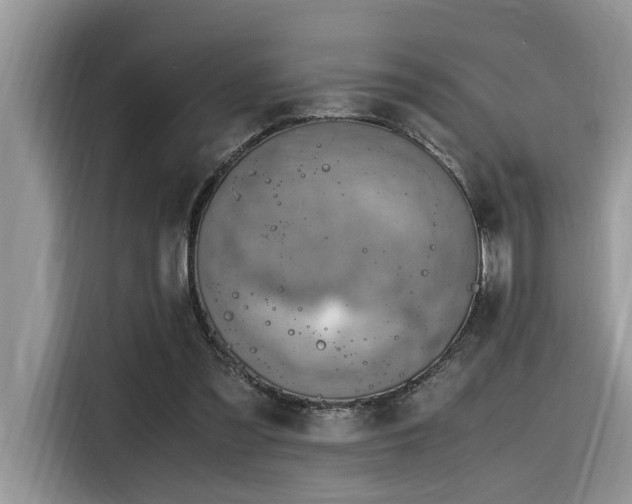 X0000116330301200912011138