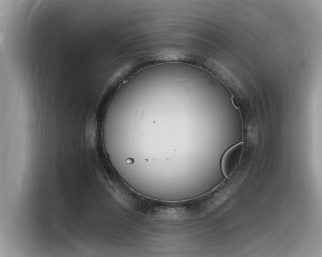 X0000116330304200912011138