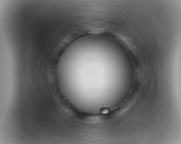 X0000116330307200912011138