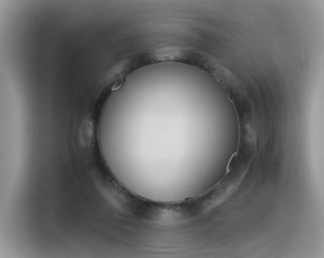 X0000116330308200912011138