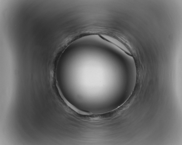X0000116330309200912011138