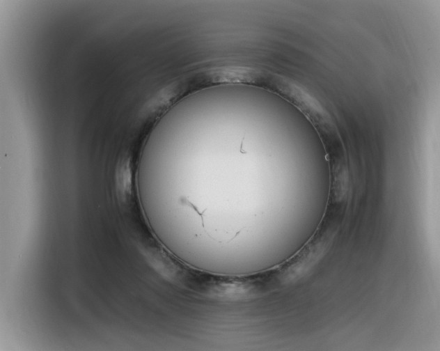 X0000116330310200912011138