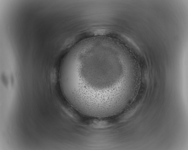 X0000116330311200912011138
