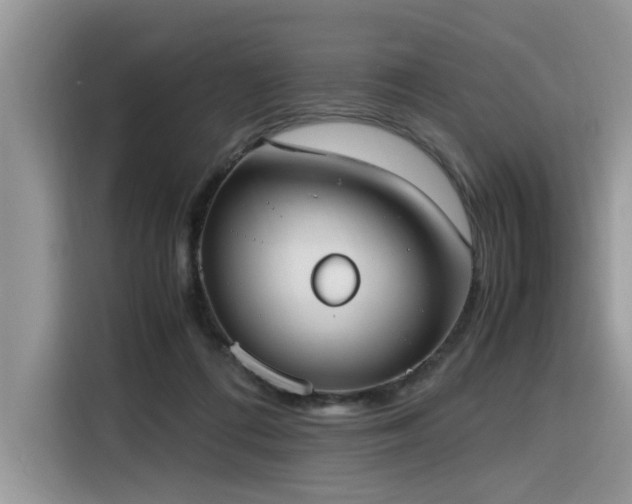 X0000116330312200912011138