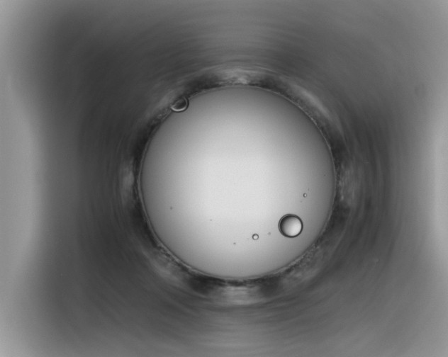X0000116330314200912011138