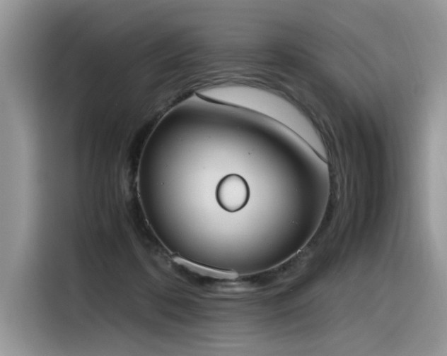 X0000116330316200912011138