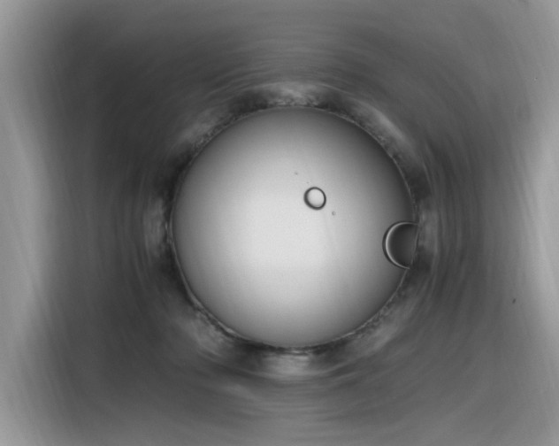 X0000116330318200912011138