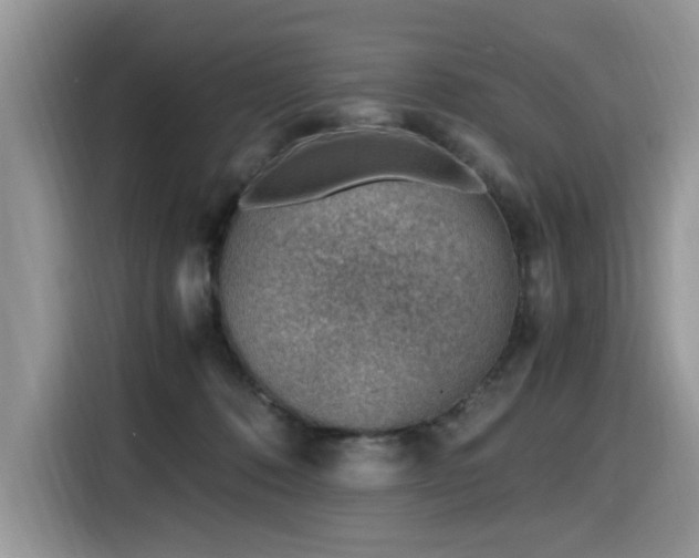 X0000116330320200912011137